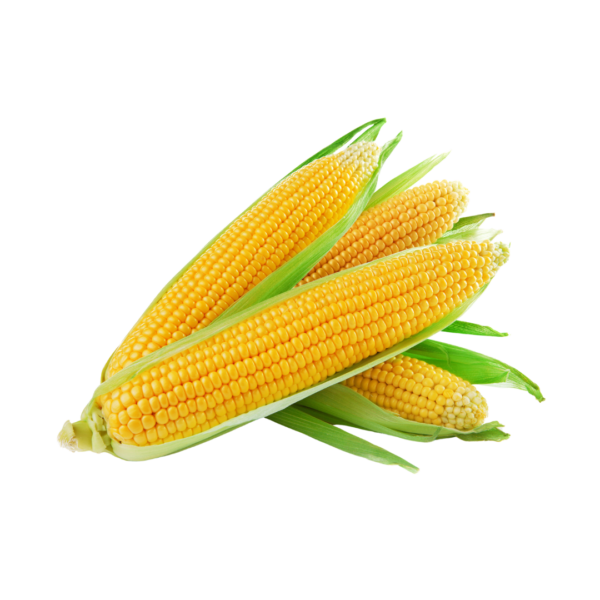Corn