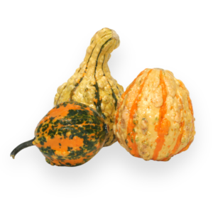 Gourds