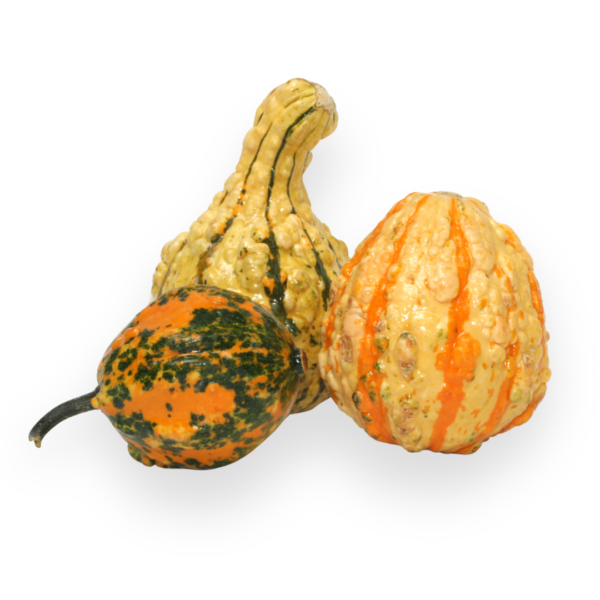 Gourds