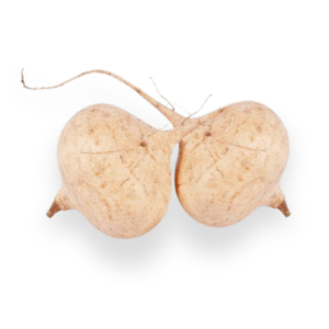 Jicama