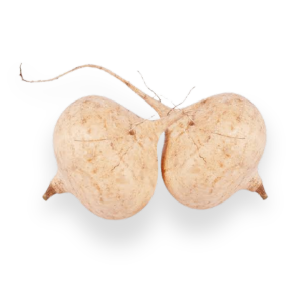 Jicama
