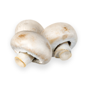 Mushrooms