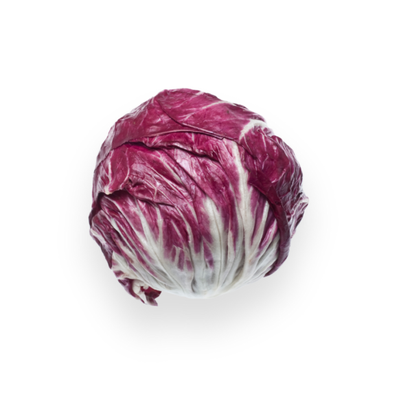Radicchio