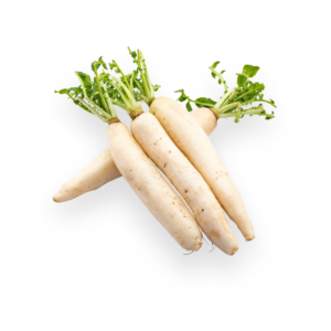 Radish