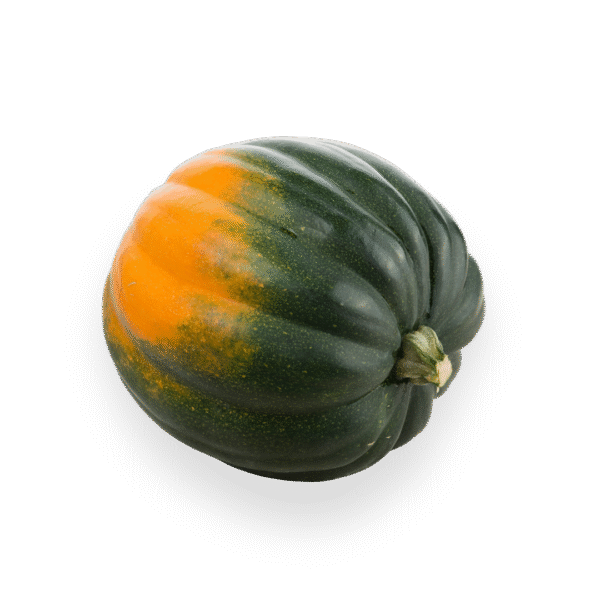 Acorn Squash
