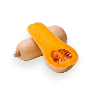 Butternut Squash