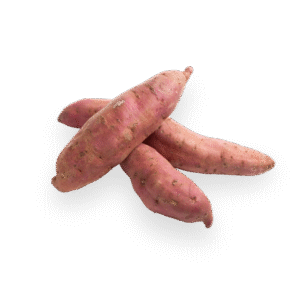 Sweet Potato