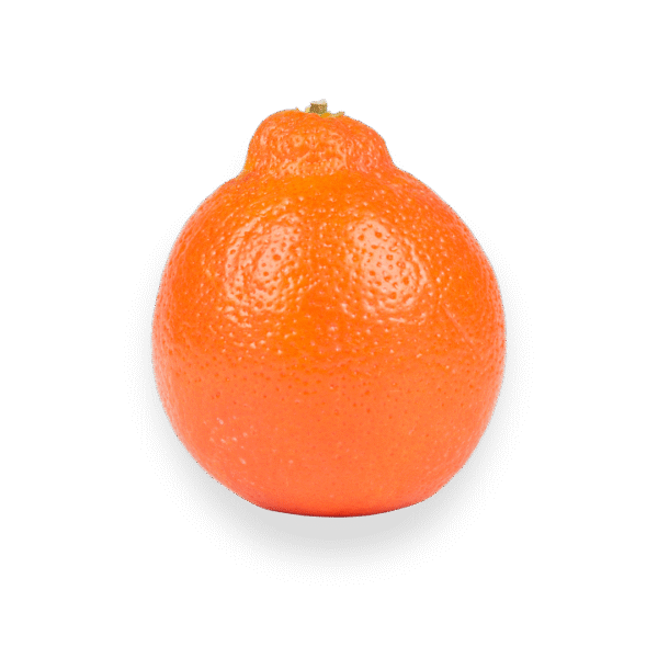 Tangelo