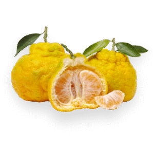 Ugli fruit