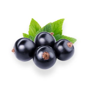 Currants