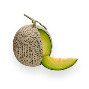 Honeydew Melon