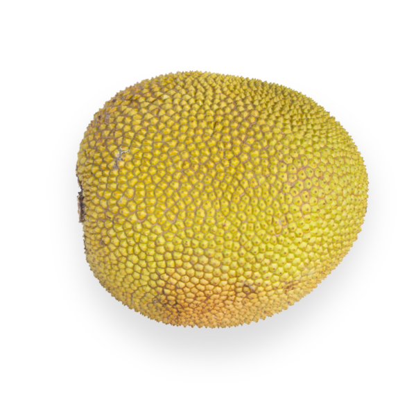 Jack Fruit