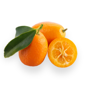 Kumquat