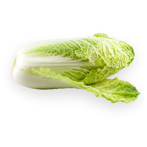Chinese Cabbage