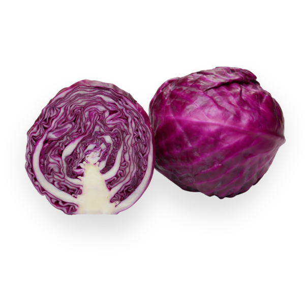 Purple Cabbage