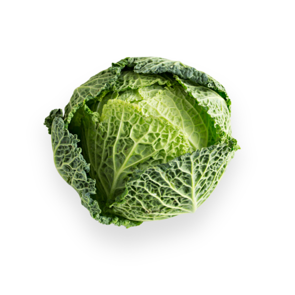 Savoy Cabbage