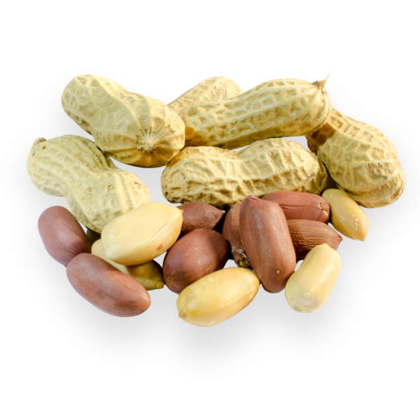 Ground Nuts