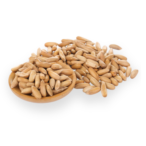 Pine Nut