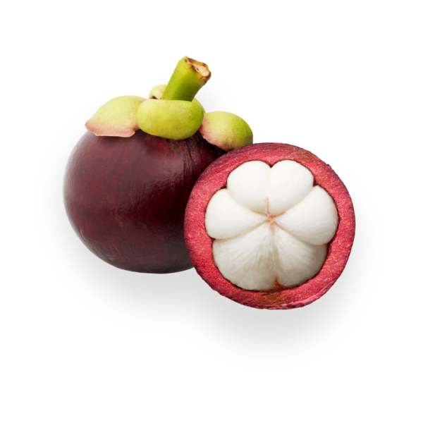 Mangosteen