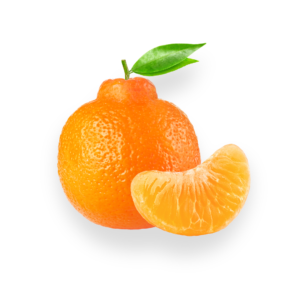 Minneola