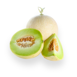 Musk Melon