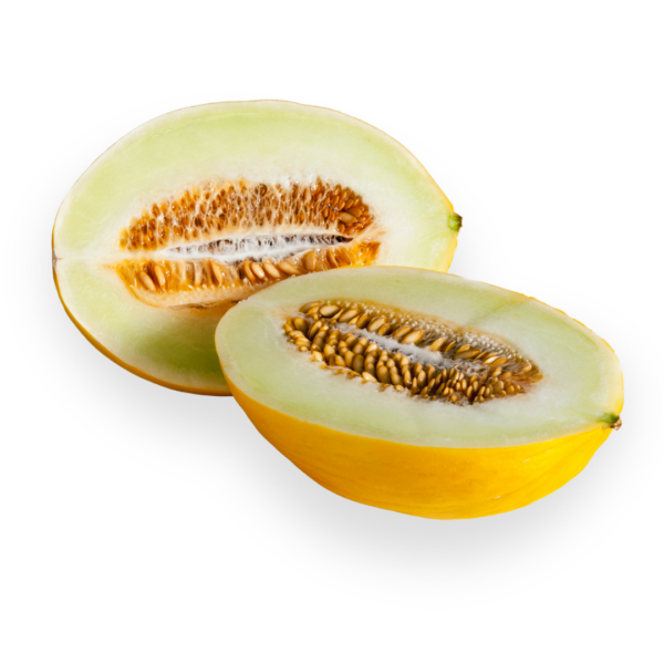 Canary Melon