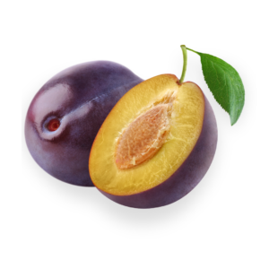 Plum