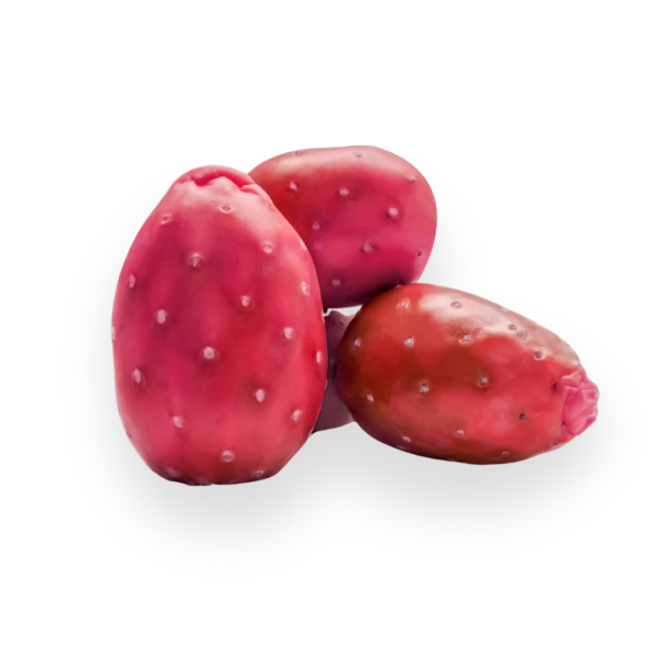 Prickly (cactus) Pear