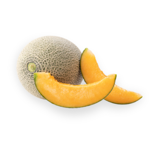 Cantaloupe
