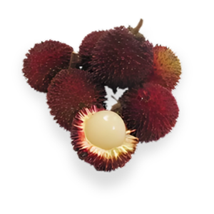 Pulasan