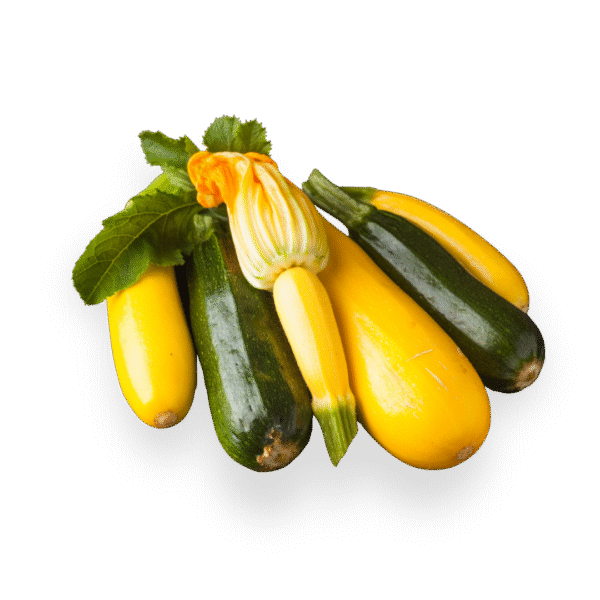 Zucchini (Green & Yellow)