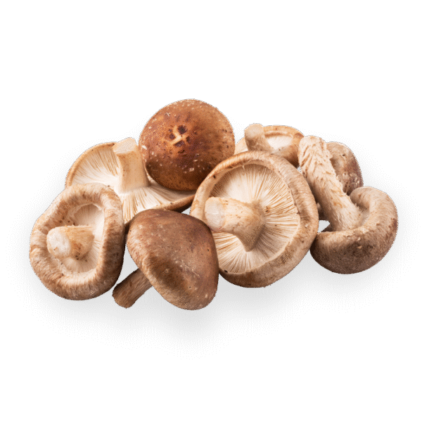 Mushrooms (Button, Oyster, Shiitake)
