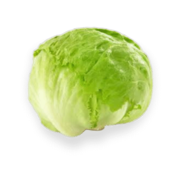 Iceberg Lettuce