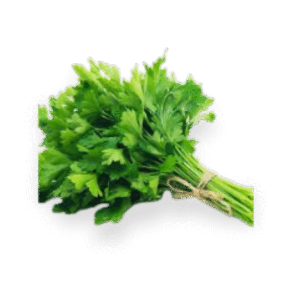 Italian Parsley