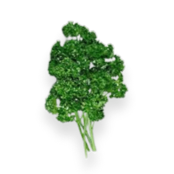 Curly Parsley