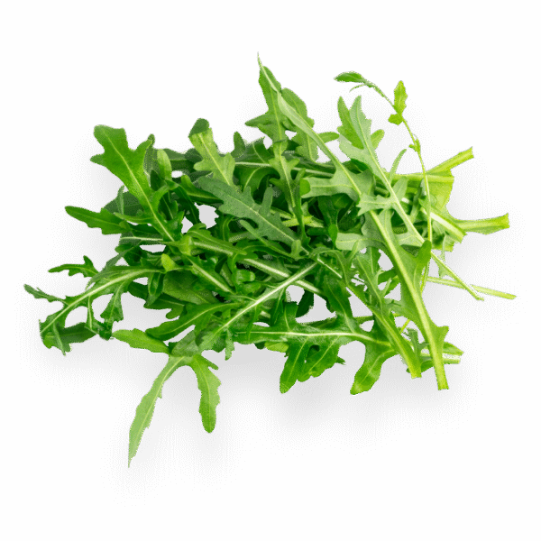 Arugula (Rocket Leaves)