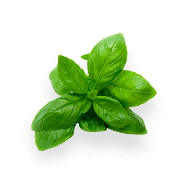 Thai Basil